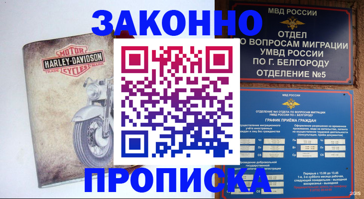 прописка для школы в Голицыно